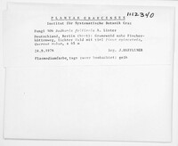Image Associated With the Occurence